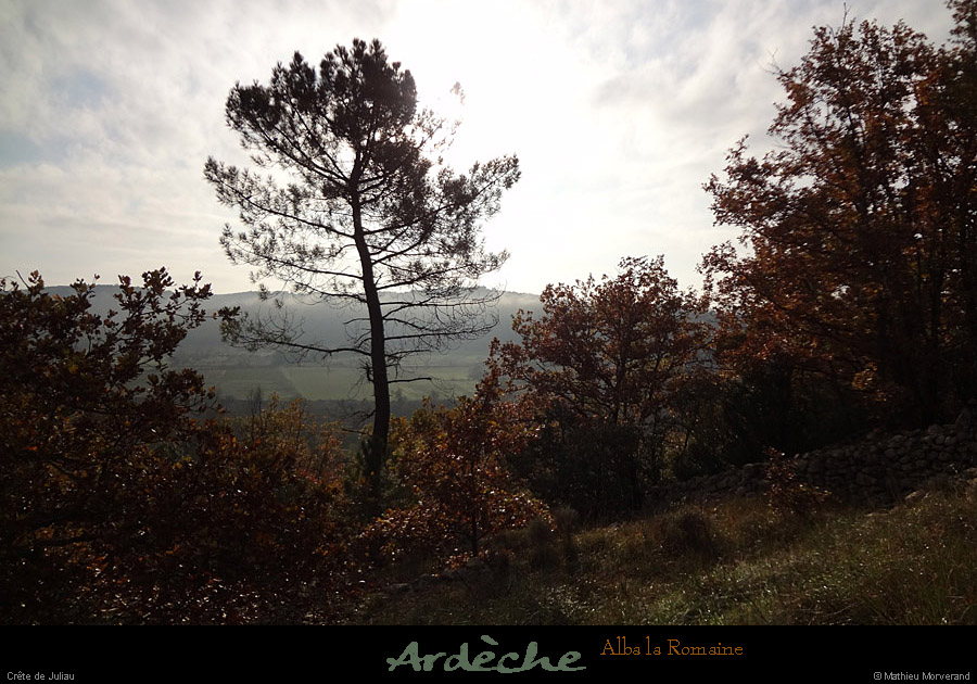 20111113_rochecolombe_pistedevaudanoux