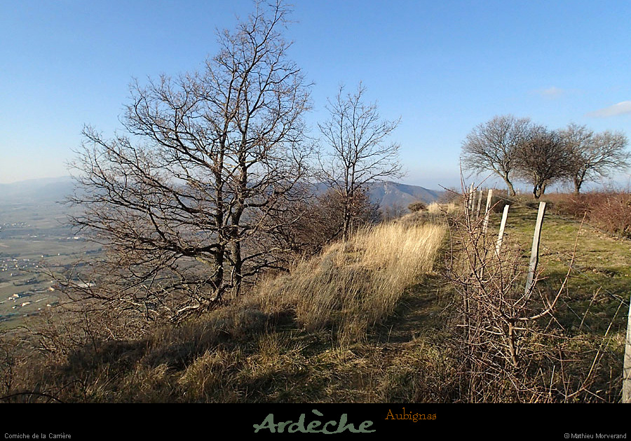 20150208_090