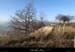 20150208_090