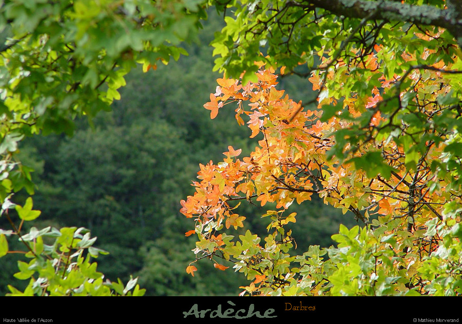 20020930_htevalleedelauzon_04