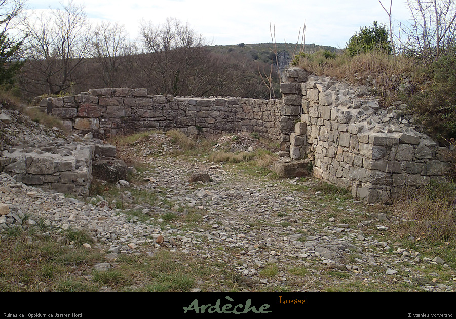 20140316_035