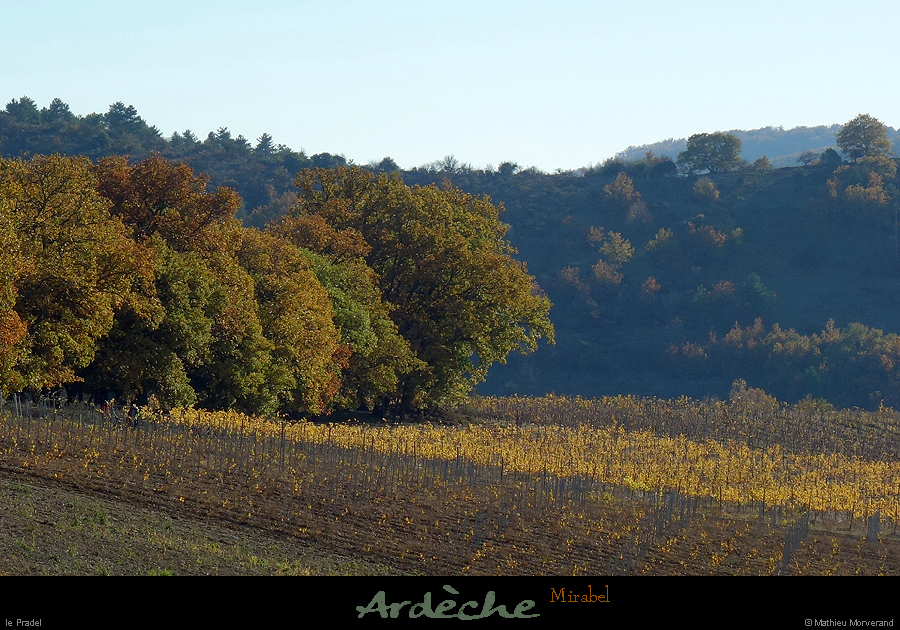 20171115_mirabel_pradel1