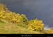 20021018_stlaurentsouscoiron_pentess_2