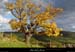 20021018_stlaurentsouscoiron_pentess_3