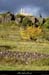 20021018_stlaurentsouscoirondesamblards_19