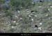 20030404_stpierrelaroche_vallee_moutons_1