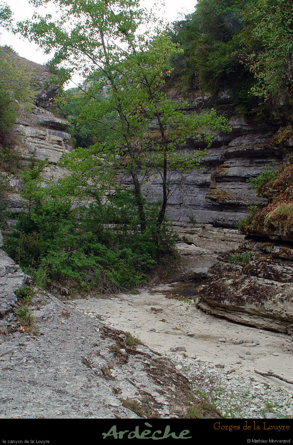 20030727_gorgeslouyre_7