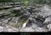 20051016_gorgesdelalouyre_07