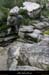 20051016_gorgesdelalouyre_09