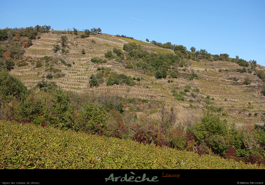20181025_limony_vignescoteaux3