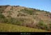 20181025_limony_vignescoteaux3