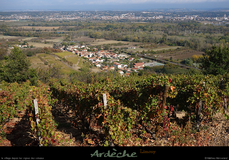 20181025_limony_vignescoteaux5