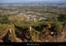 20181025_limony_vignescoteaux5