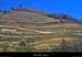 20150212_mauvescoteaux