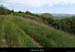 20140509_062