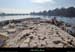 20150220_stjust_digueconfluence05
