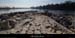 20150220_stjust_digueconfluence08