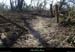 20150220_stjust_sentierilecordonniers03