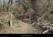 20150220_stjust_sentierilecordonniers04