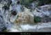 20211013_ellieux19