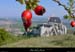20020916_chateaudecrussolparlesw_18
