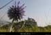 20020916_chateaudecrussolparlouest_5