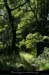 20120624_ailhon_vallonauzonprescrouzet