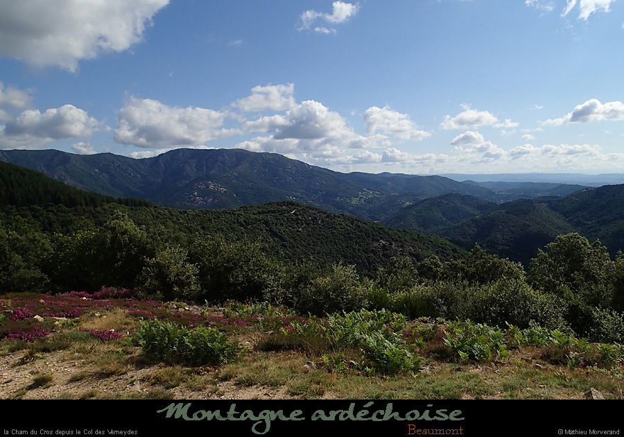 20140816_055