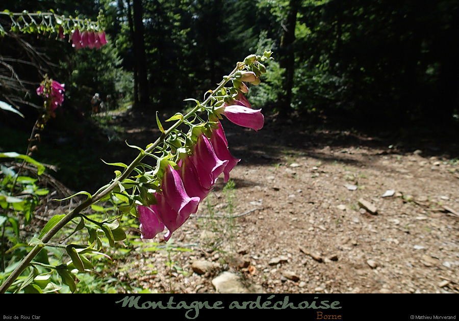 20140727a119