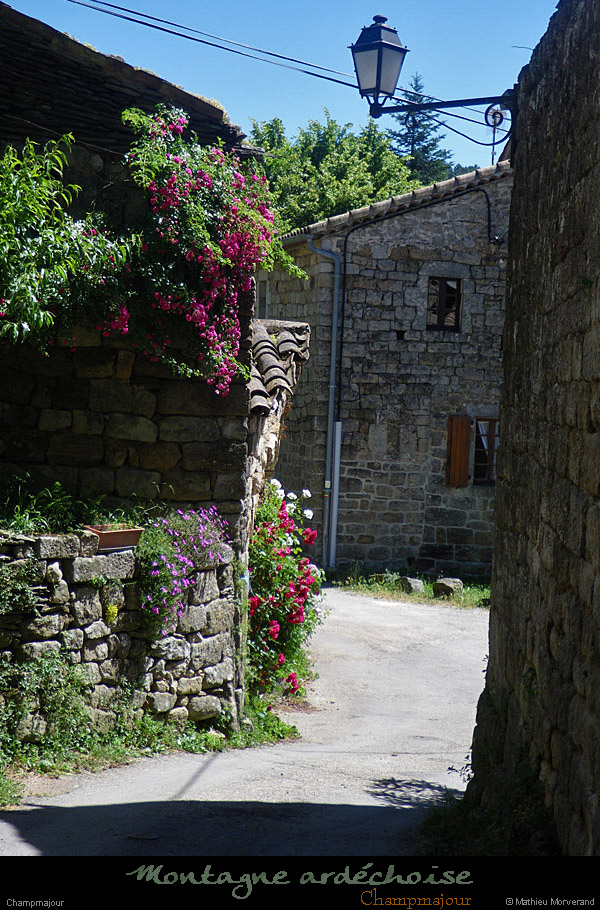 20090529_champamajour1