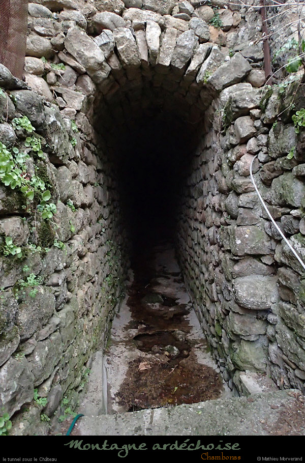 20150226_263