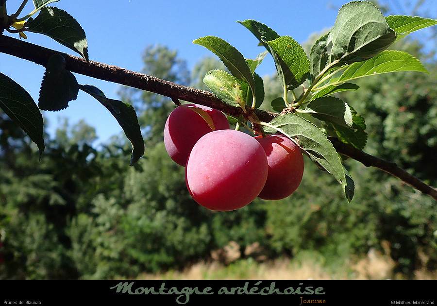 20190713_096
