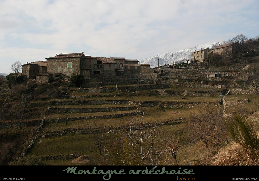 20100213_lemonteilparlese1