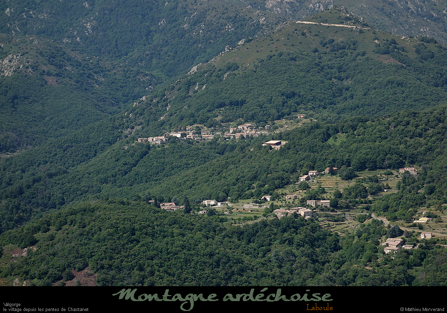 20200725_laboule