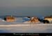20100131_lachampraphaelparlw09