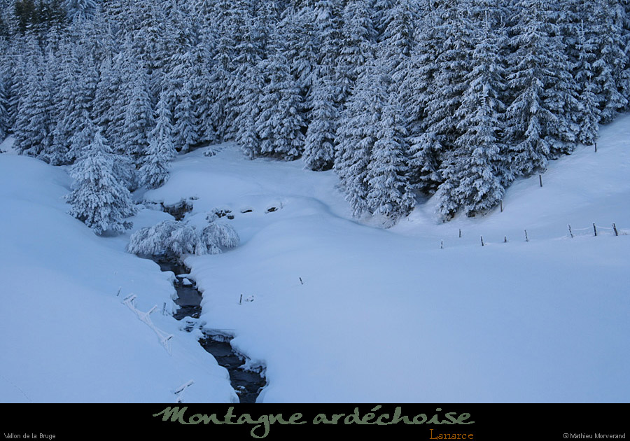 20090111_lanarce2