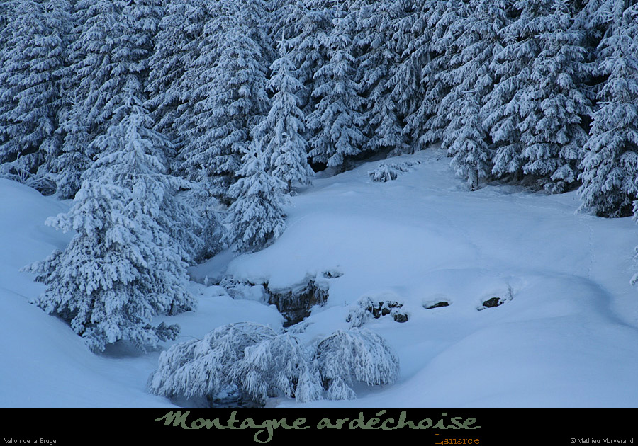 20090111_lanarce3