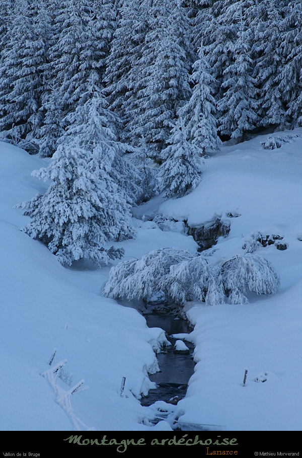 20090111_lanarce4