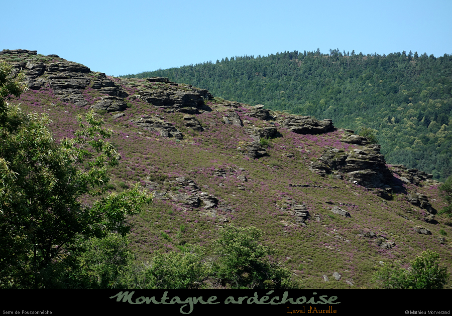 20210725_poussoneche1