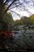 20111030_lavaldaurelle_ruisseaudourlette2