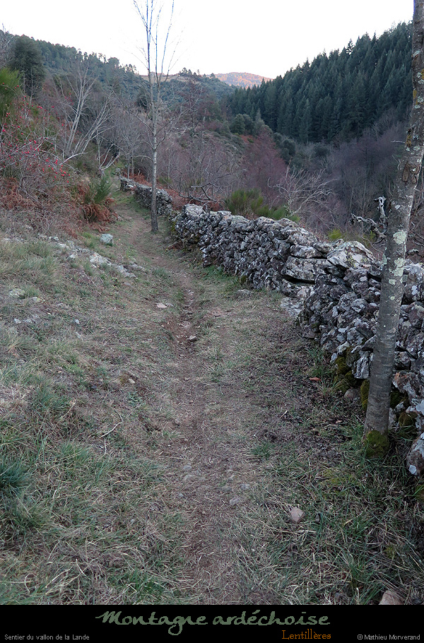 20170107_22