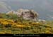 20120606_leroux_pentesdelafontaulieresousleserrederedon2