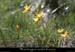 20170515_loubarese_vallehtebeaume3