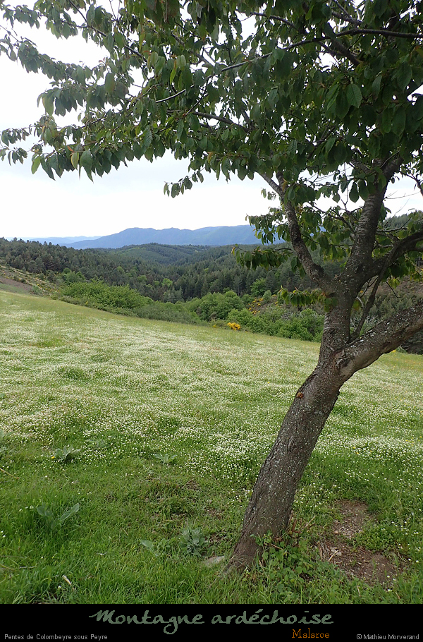 20240529_098