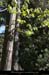 20100506_malarcehauteurs_croixdecomte1