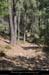 20100506_malarcehauteurs_meysognalsentier2