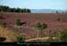 20210811_bouscas 