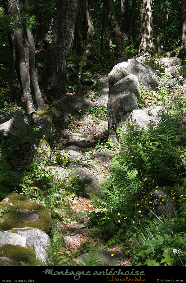 20140513_mayresvallonrieu03