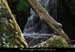 20140513_mayresruisseaunrieu4