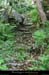 20140513_mayresvallonrieu04